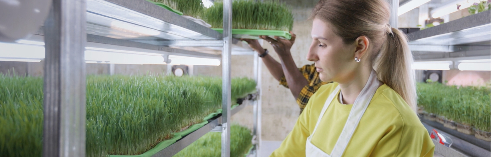 Header Sector Agriculture