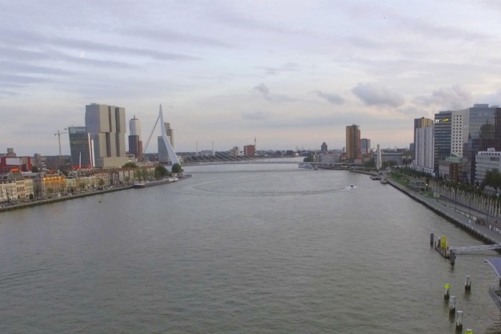Header Rotterdam