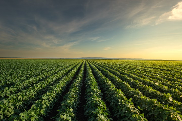 Oraxys and SWEN acquired majority stake in VAM WaterTech