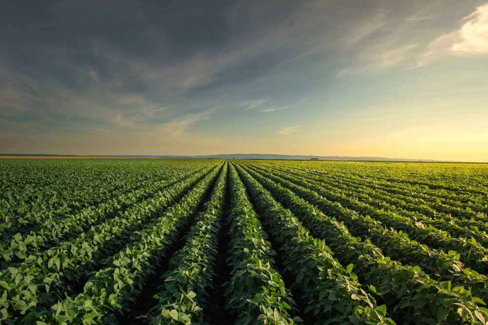 ORAXYS en SWEN verwerven een meerderheidsbelang in VAM WaterTech