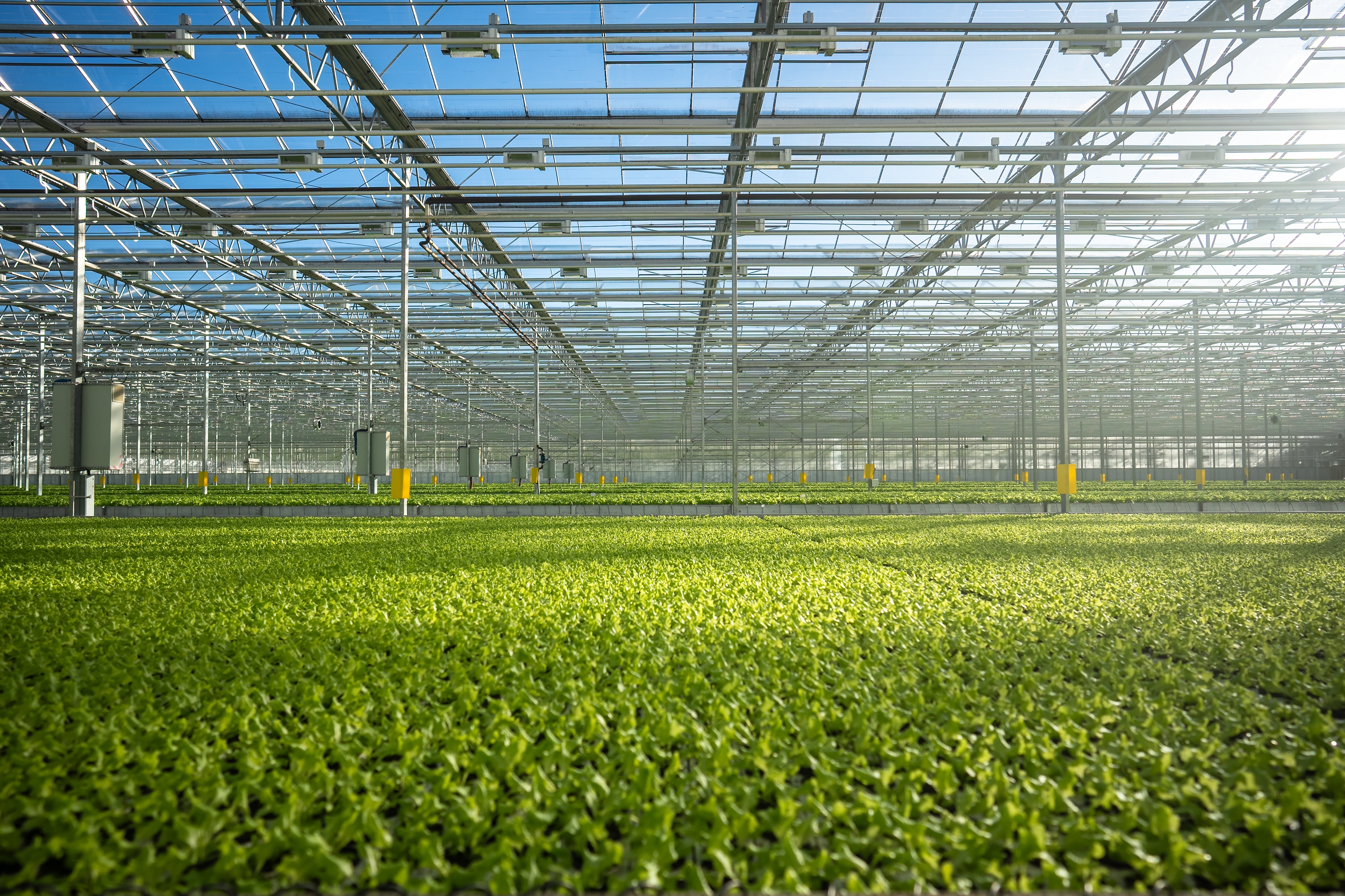Acquisition of Horti-Text by Agripers