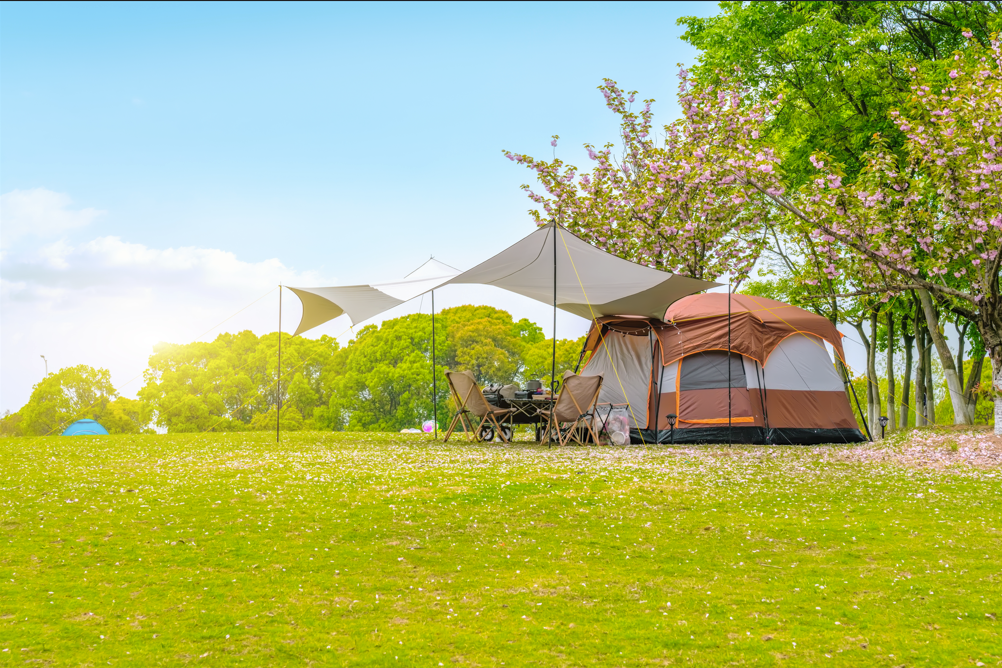 Obelink neemt 100% van de aandelen in De Wit Schijndel over