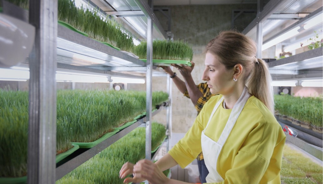 Royal Peterson and Control Union Group B.V. (RPCU) acquires a majority stake in Delphy Group BV.