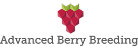 Overname Advanced Berry Breeding door Placin Logo 2