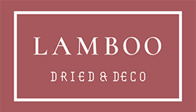 Anders Invest verwerft belang in Lamboo Dried & Deco Logo 2